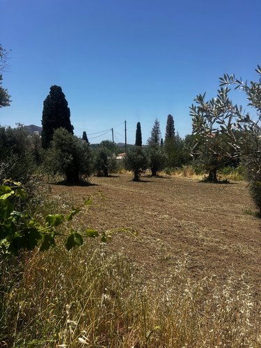 Οικοπεδο προς Πώληση - Χαλκί Νάξος Οικοπεδο προς Πώληση - Χαλκί Νάξος