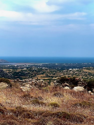 Αγροτεμάχιο προς Πώληση -  Νάξος