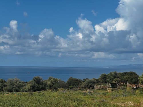 Αγροτεμάχιο προς Πώληση -  Νάξος