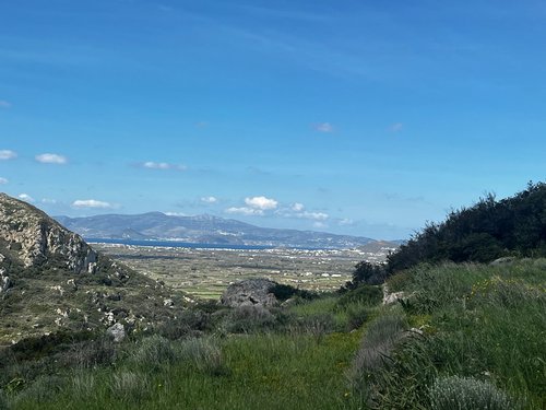 Αγροτεμάχιο προς Πώληση -  Ποταμιά Νάξος